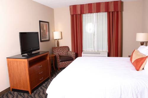 Imagen de la habitación del Hotel Hilton Garden Inn Chesapeake/suffolk. Foto 7