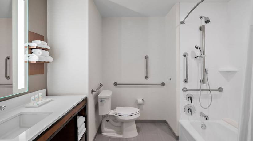 Imagen de la habitación del Hotel Hilton Garden Inn Chicago McCormick Place. Foto 5