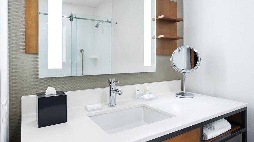 Imagen de la habitación del Hotel Hilton Garden Inn Chicago McCormick Place. Foto 9