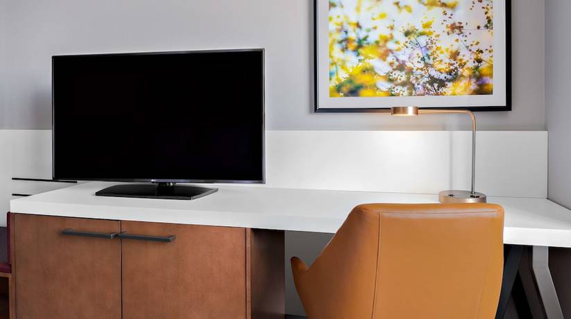 Imagen de la habitación del Hotel Hilton Garden Inn Chicago McCormick Place. Foto 12