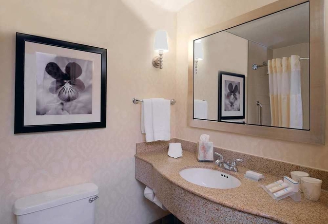 Imagen de la habitación del Hotel Hilton Garden Inn Chicago North Shore/evanston. Foto 6
