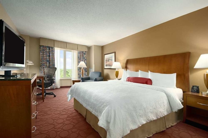 Imagen de la habitación del Hotel Hilton Garden Inn Chicago Ohare Airport. Foto 2