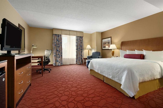Imagen de la habitación del Hotel Hilton Garden Inn Chicago Ohare Airport. Foto 3