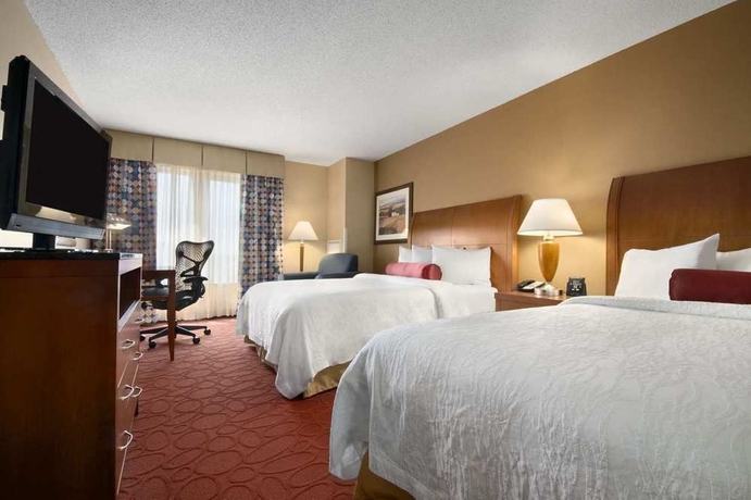 Imagen de la habitación del Hotel Hilton Garden Inn Chicago Ohare Airport. Foto 4