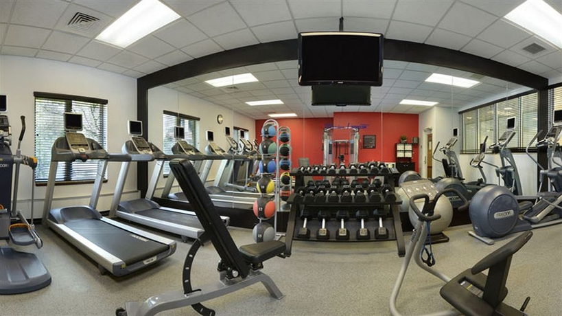 Imagen de los interiores del Hotel Hilton Garden Inn Chicago Ohare Airport. Foto 7