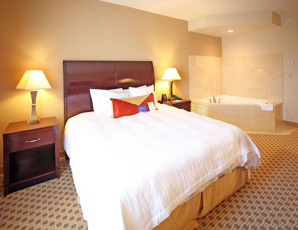 Imagen de la habitación del Hotel Hilton Garden Inn Cincinnati Blue Ash. Foto 6