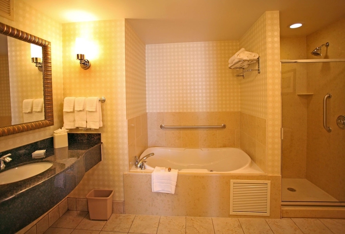 Imagen de la habitación del Hotel Hilton Garden Inn Cincinnati Blue Ash. Foto 13