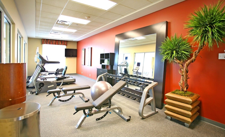 Imagen de los interiores del Hotel Hilton Garden Inn Cincinnati Blue Ash. Foto 18