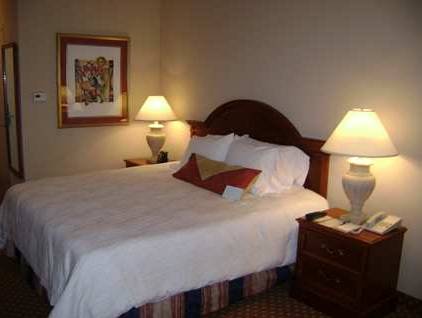 Imagen de la habitación del Hotel Hilton Garden Inn Cincinnati Northeast. Foto 2