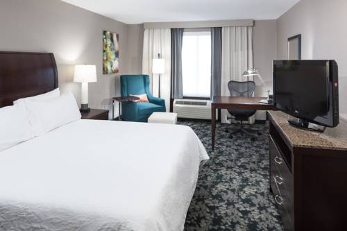 Imagen de la habitación del Hotel Hilton Garden Inn Cincinnati/mason. Foto 6