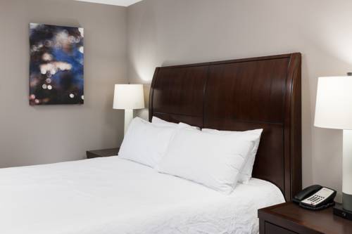 Imagen de la habitación del Hotel Hilton Garden Inn Cincinnati/mason. Foto 8