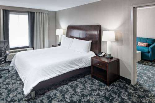 Imagen de la habitación del Hotel Hilton Garden Inn Cincinnati/mason. Foto 12
