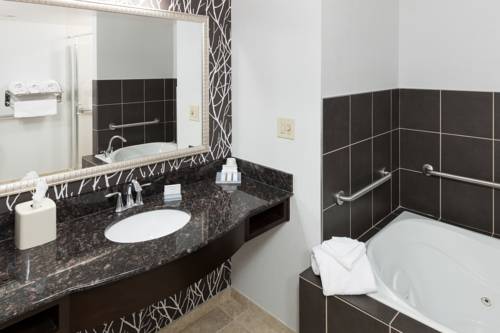 Imagen de la habitación del Hotel Hilton Garden Inn Cincinnati/mason. Foto 14
