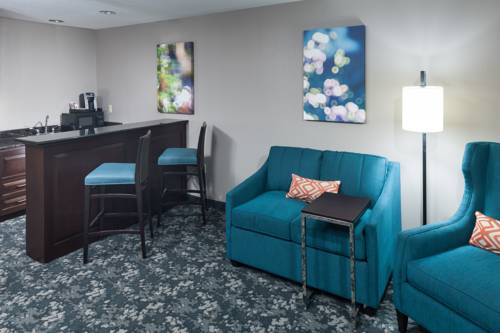 Imagen de la habitación del Hotel Hilton Garden Inn Cincinnati/mason. Foto 15