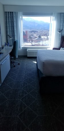 Imagen de la habitación del Hotel Hilton Garden Inn Colorado Springs Downtown. Foto 8