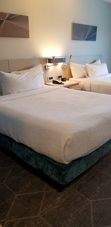 Imagen de la habitación del Hotel Hilton Garden Inn Colorado Springs Downtown. Foto 9