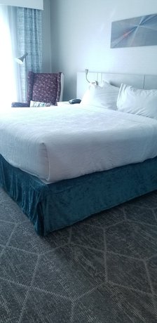 Imagen de la habitación del Hotel Hilton Garden Inn Colorado Springs Downtown. Foto 10