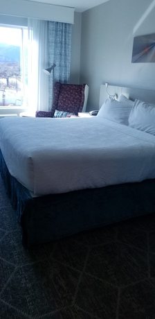 Imagen de la habitación del Hotel Hilton Garden Inn Colorado Springs Downtown. Foto 11