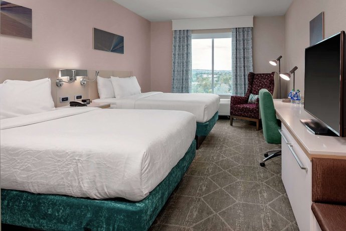 Imagen de la habitación del Hotel Hilton Garden Inn Colorado Springs Downtown. Foto 15