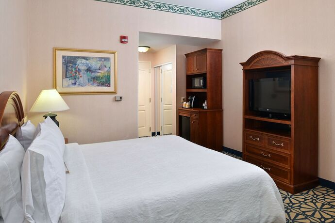 Imagen de la habitación del Hotel Hilton Garden Inn Columbia, Columbia. Foto 18