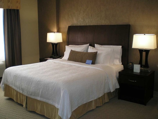 Imagen de la habitación del Hotel Hilton Garden Inn DFW North Grapevine. Foto 5
