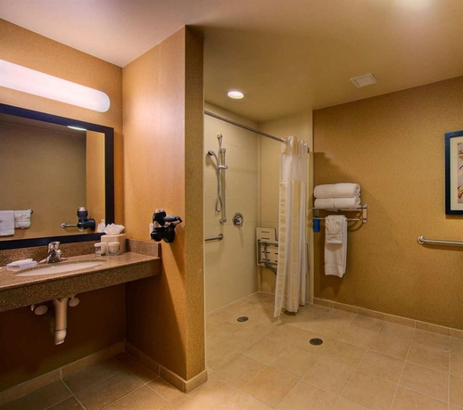 Imagen de la habitación del Hotel Hilton Garden Inn DFW North Grapevine. Foto 6