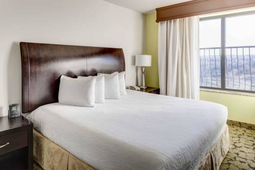 Imagen de la habitación del Hotel Hilton Garden Inn Dallas Lewisville. Foto 4