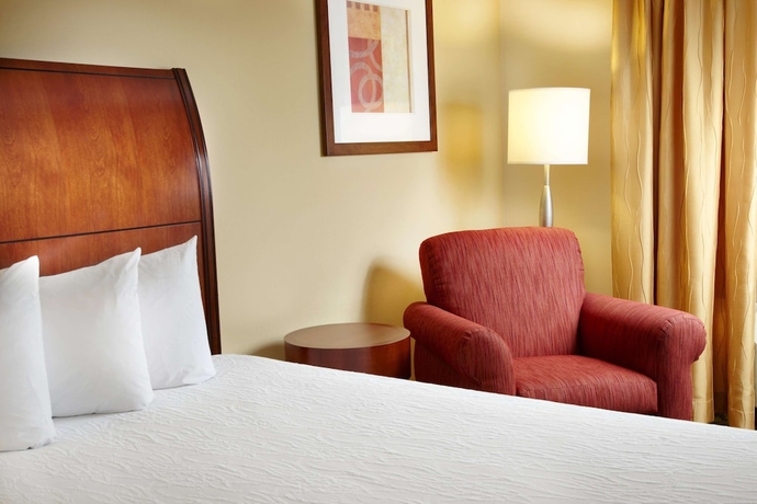 Imagen de la habitación del Hotel Hilton Garden Inn Dallas/arlington. Foto 5