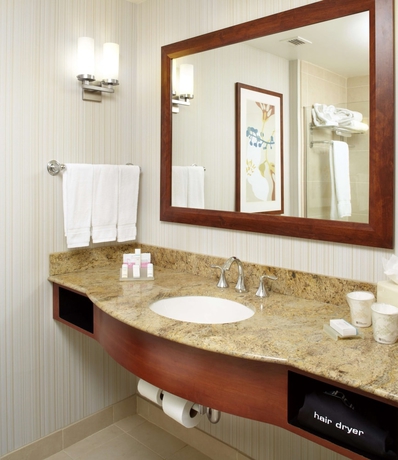 Imagen de la habitación del Hotel Hilton Garden Inn Dallas/arlington. Foto 9