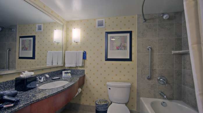 Imagen de la habitación del Hotel Hilton Garden Inn Denver Downtown. Foto 2