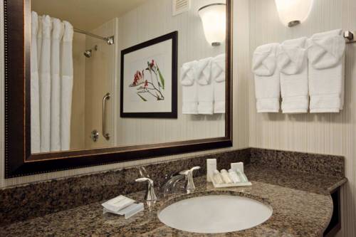 Imagen de la habitación del Hotel Hilton Garden Inn Denver South Park Meadows Area. Foto 4