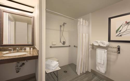 Imagen de la habitación del Hotel Hilton Garden Inn Denver South Park Meadows Area. Foto 6