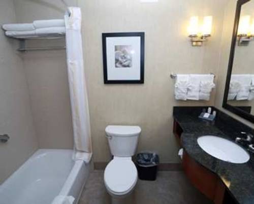 Imagen de la habitación del Hotel Hilton Garden Inn Des Moines West. Foto 3