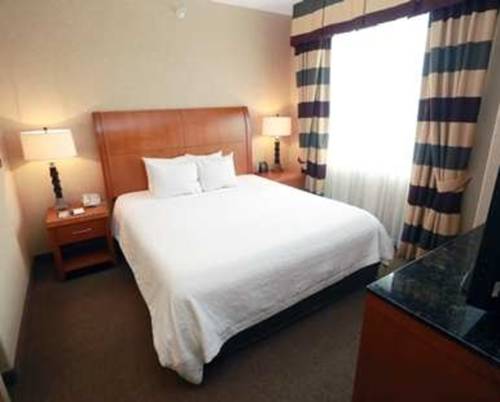 Imagen de la habitación del Hotel Hilton Garden Inn Des Moines West. Foto 9
