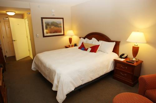 Imagen de la habitación del Hotel Hilton Garden Inn Des Moines/urbandale. Foto 4