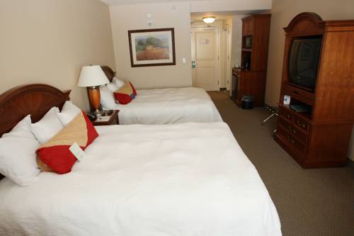 Imagen de la habitación del Hotel Hilton Garden Inn Des Moines/urbandale. Foto 5