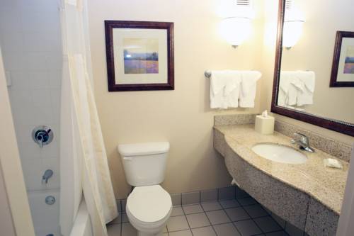 Imagen de la habitación del Hotel Hilton Garden Inn Des Moines/urbandale. Foto 6