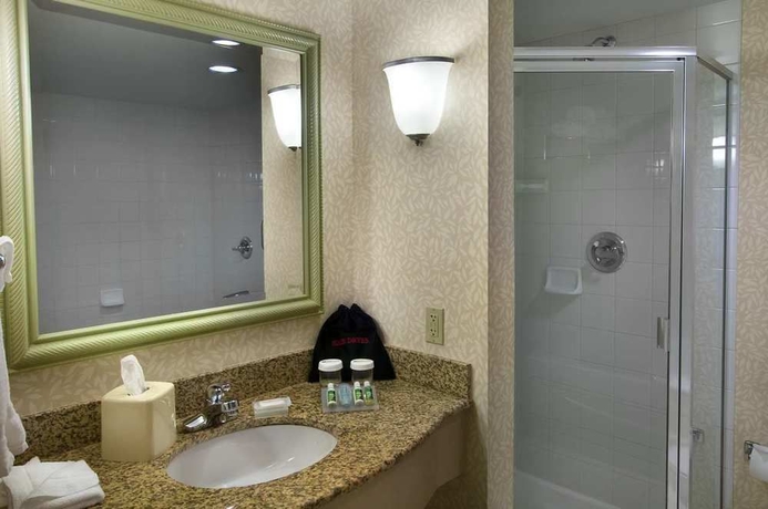 Imagen de la habitación del Hotel Hilton Garden Inn Detroit Downtown. Foto 4