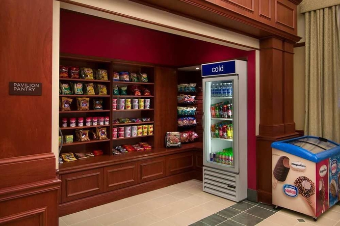 Imagen de los interiores del Hotel Hilton Garden Inn Detroit Downtown. Foto 12