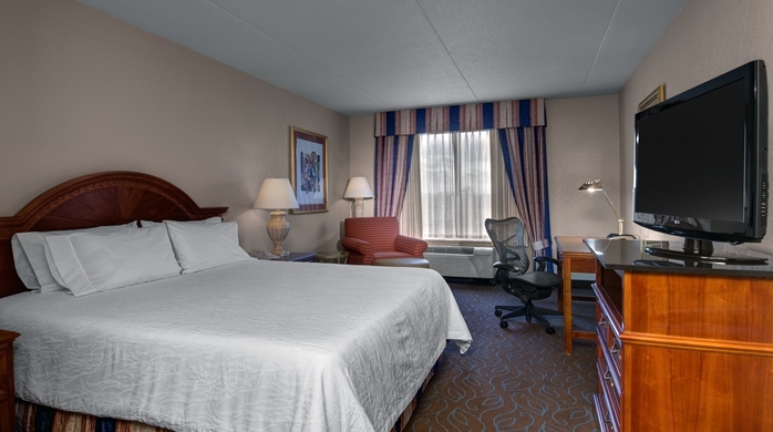 Imagen de la habitación del Hotel Hilton Garden Inn Detroit Metro Airport. Foto 2