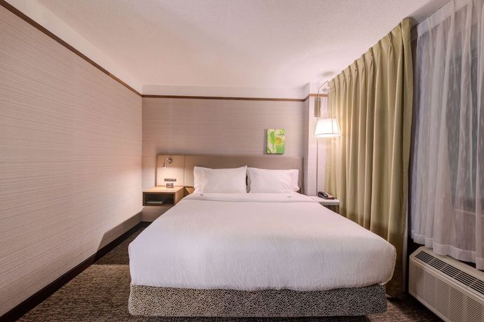 Imagen de la habitación del Hotel Hilton Garden Inn Detroit - Southfield, Mi. Foto 7