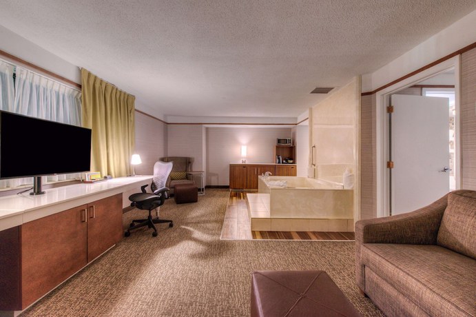 Imagen de la habitación del Hotel Hilton Garden Inn Detroit - Southfield, Mi. Foto 11