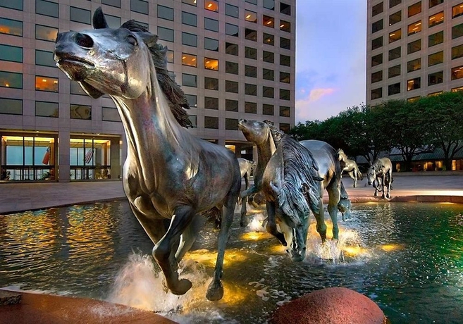 Imagen general del Hotel Hilton Garden Inn Dfw Airport South. Foto 4