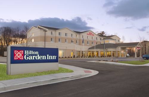 Imagen de la habitación del Hotel Hilton Garden Inn Dover. Foto 2