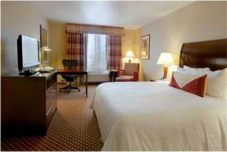 Imagen de la habitación del Hotel Hilton Garden Inn Dover. Foto 8
