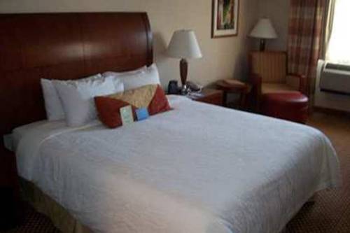 Imagen de la habitación del Hotel Hilton Garden Inn Dover. Foto 9