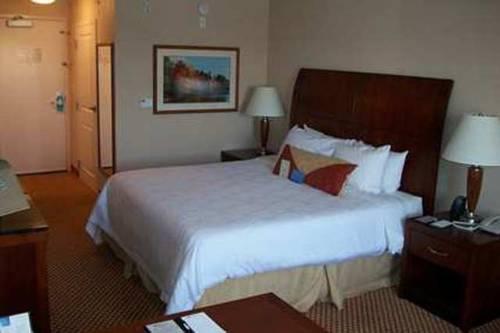 Imagen de la habitación del Hotel Hilton Garden Inn Dover. Foto 10