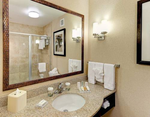 Imagen de la habitación del Hotel Hilton Garden Inn El Paso Airport. Foto 4