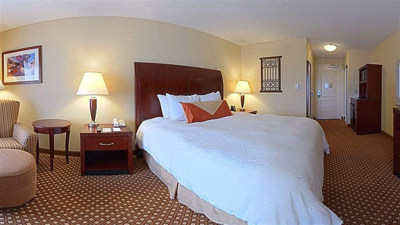 Imagen general del Hotel Hilton Garden Inn El Paso / University. Foto 2