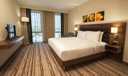 Imagen de la habitación del Hotel Hilton Garden Inn Erzincan. Foto 3
